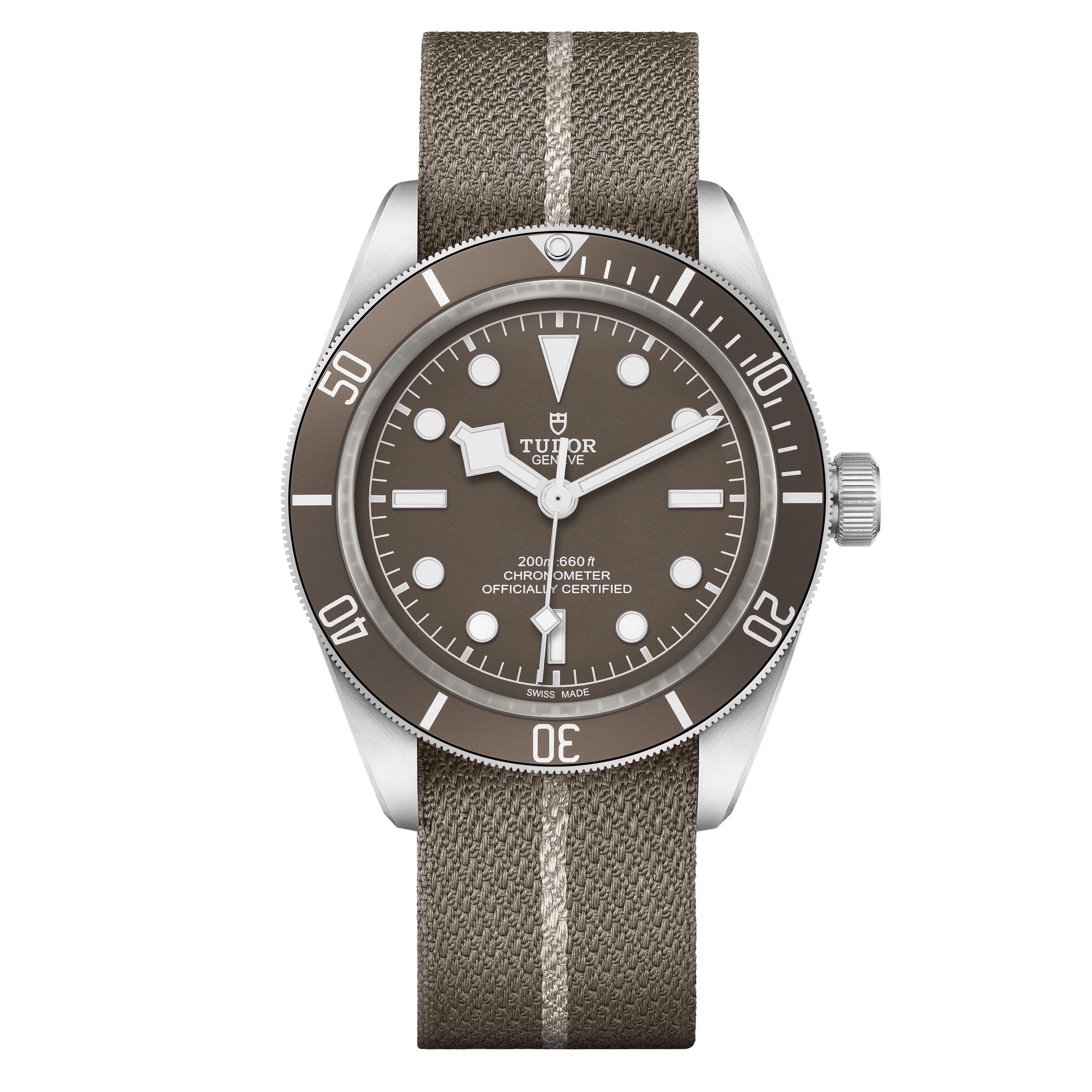 Tudor Black Bay 58 925 Silver Automatic Men s Watch 39 mm Grey Dial M79010SG 0002 Loupe